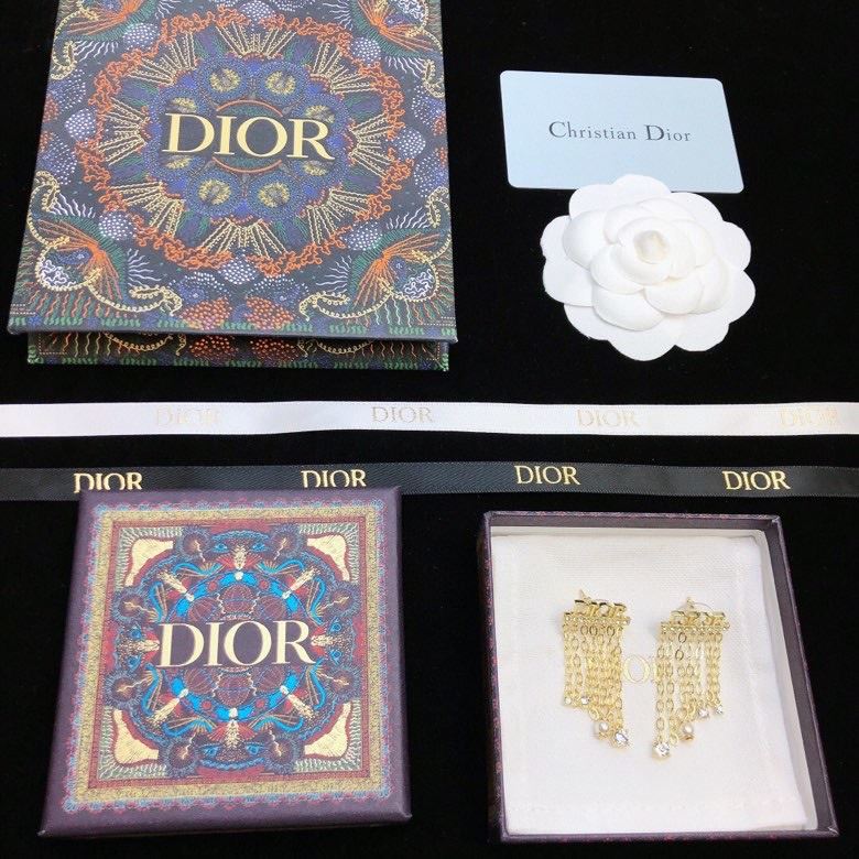 Christian Dior Earrings